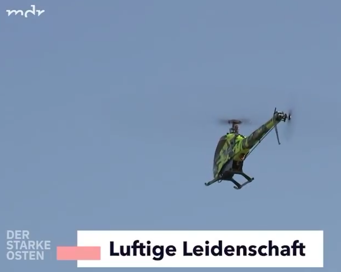 Wildschwin.png